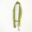 Candy Green Personalized Dog Collar Set - iTalkPet
