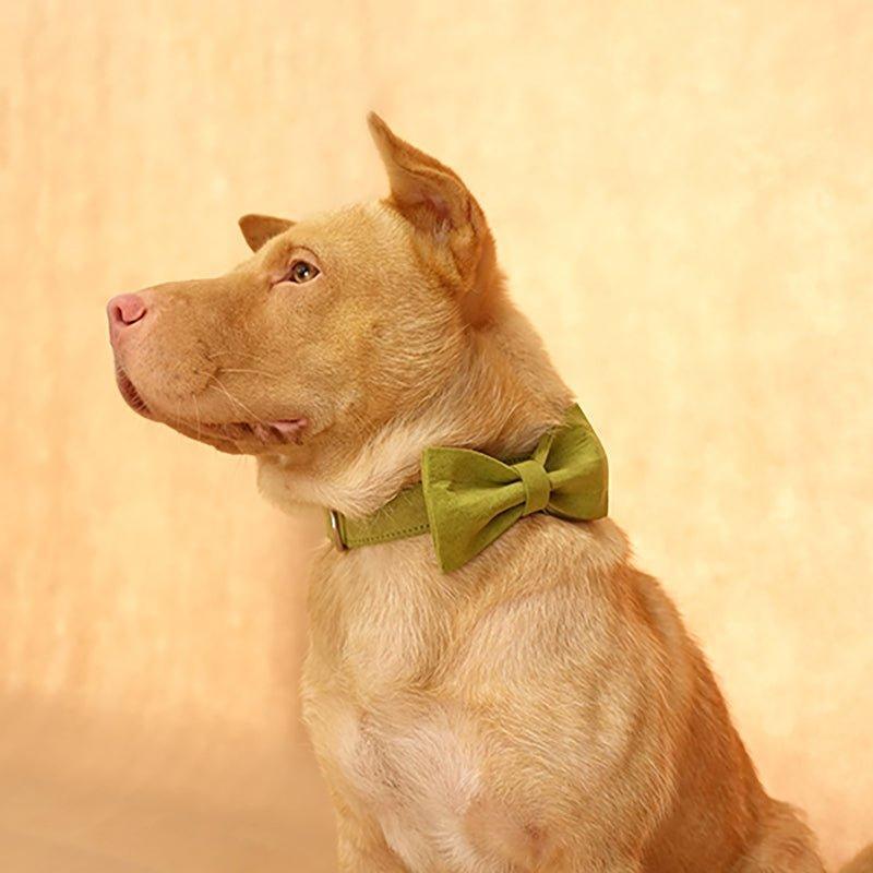 Candy Green Personalized Dog Collar Set - iTalkPet