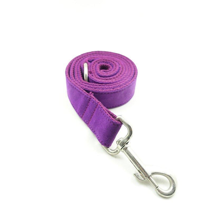 Candy Purple Personalized Dog Collar Set - iTalkPet