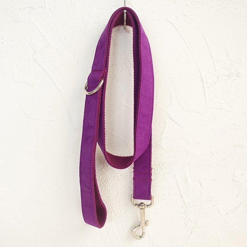 Candy Purple Personalized Dog Collar Set - iTalkPet