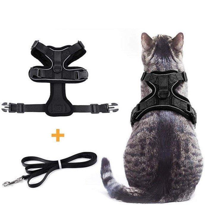 Cat Harness and Leash Set - Soft Adjustable Vest Harnesses for Cat - iTalkPet