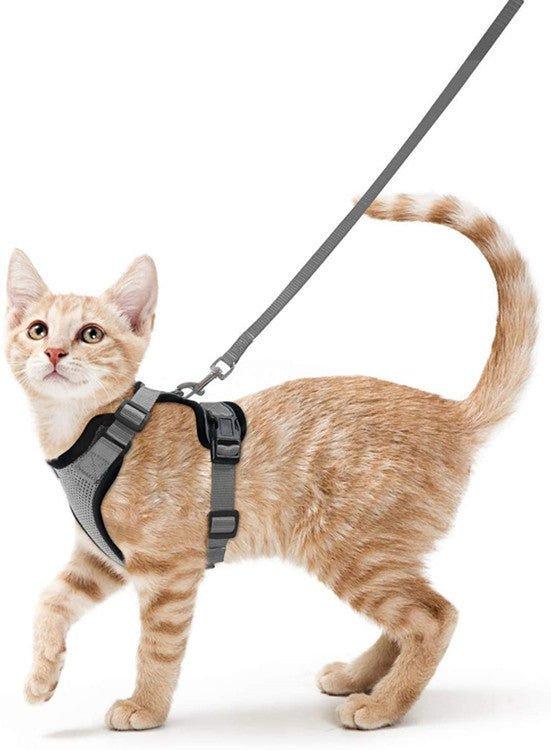 Cat Harness and Leash Set - Soft Adjustable Vest Harnesses for Cat - iTalkPet