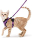 Cat Harness and Leash Set - Soft Adjustable Vest Harnesses for Cat - iTalkPet