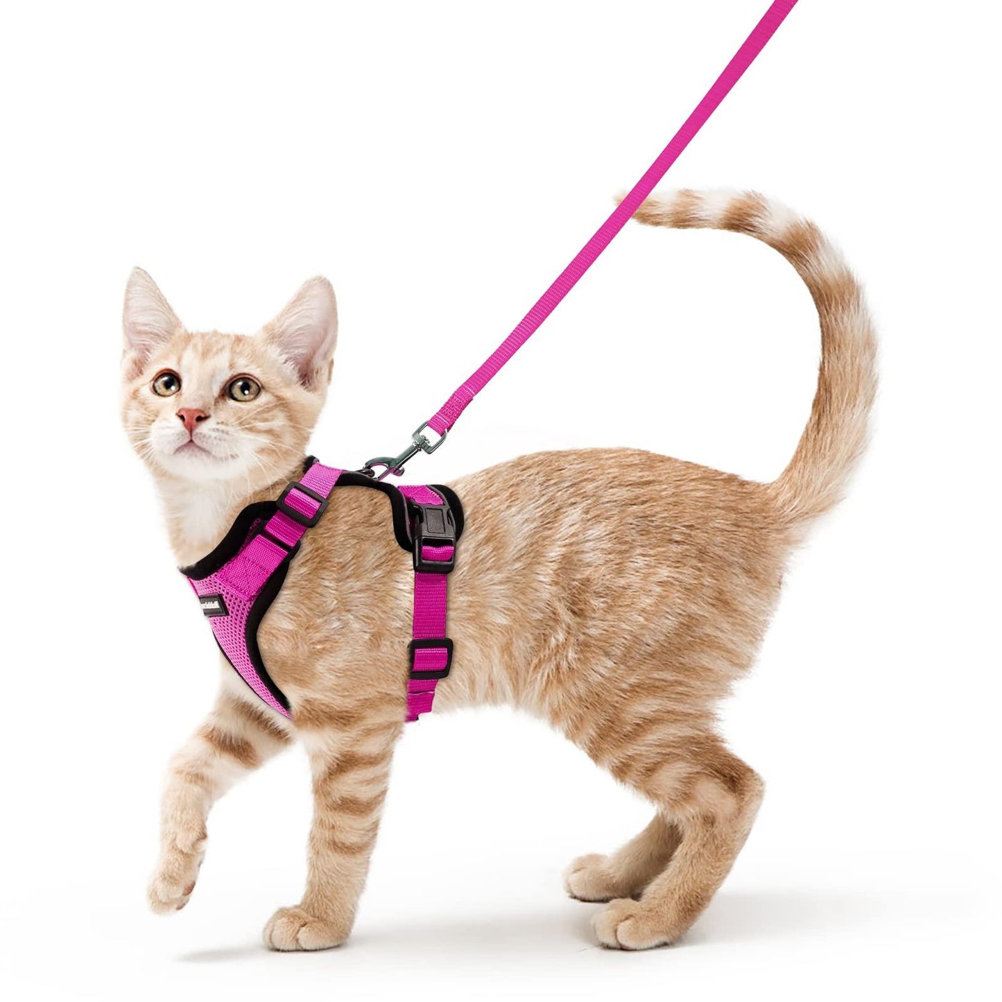 Cat Harness and Leash Set - Soft Adjustable Vest Harnesses for Cat - iTalkPet