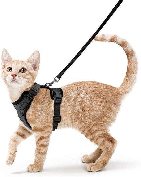 Cat Harness and Leash Set - Soft Adjustable Vest Harnesses for Cat - iTalkPet