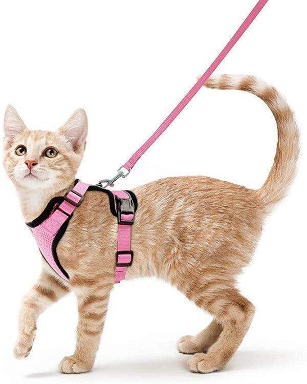 Cat Harness and Leash Set - Soft Adjustable Vest Harnesses for Cat - iTalkPet