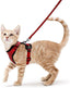 Cat Harness and Leash Set - Soft Adjustable Vest Harnesses for Cat - iTalkPet