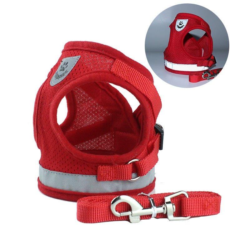 Cat Harness and Puppy Harness with Leash Set - iTalkPet