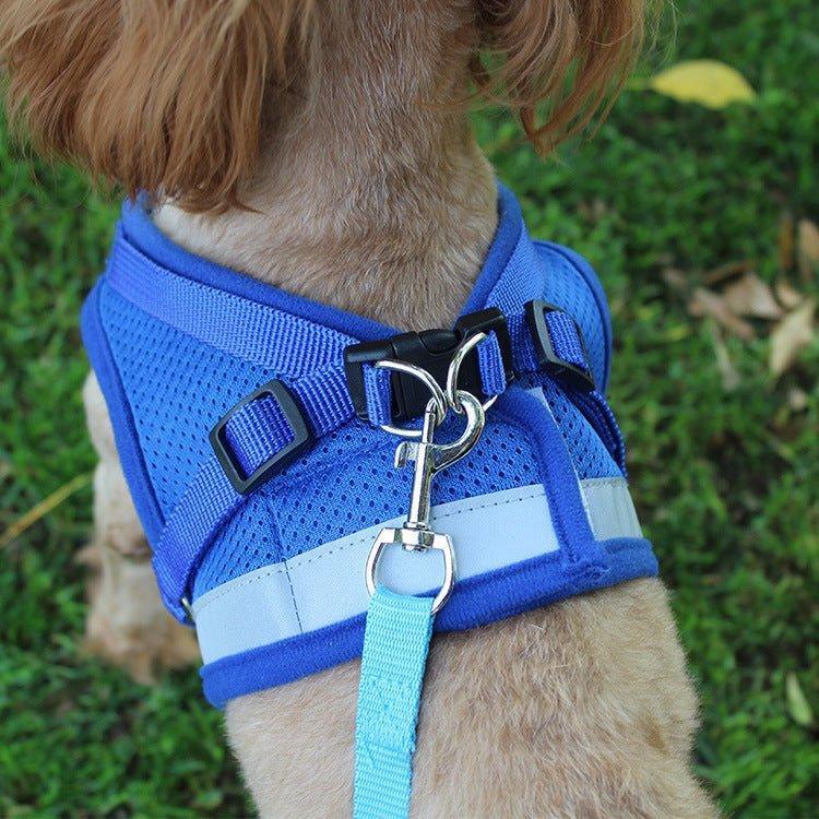 Cat Harness and Puppy Harness with Leash Set - iTalkPet