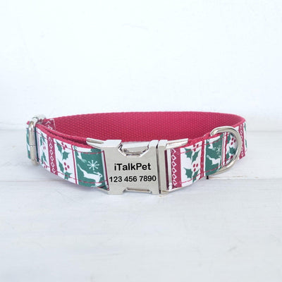 Christmas Deer Personalized Dog Collar Set - iTalkPet