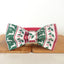 Christmas Deer Personalized Dog Collar Set - iTalkPet