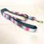 Colorful Soft Personalized Dog Collar Set - iTalkPet