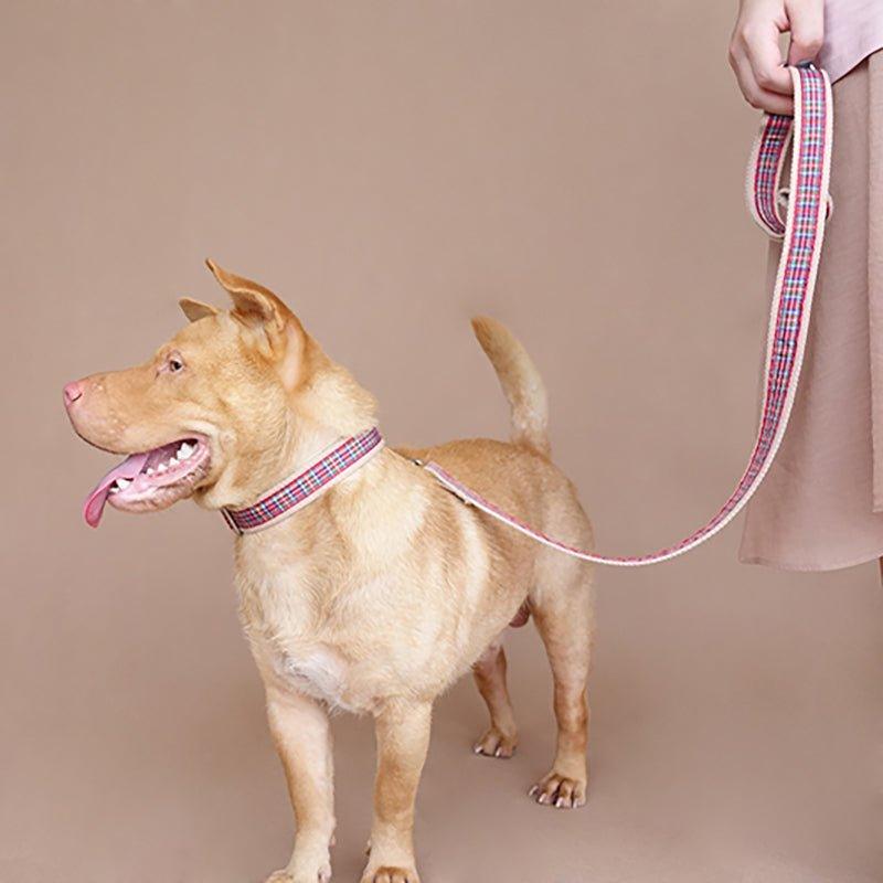Colorful Stripe Soft Personalized Dog Collar Set - iTalkPet