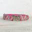 Colorful Tulips Personalized Dog Collar Set - iTalkPet