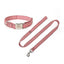 Cotton Custom Dog Collar and Leash Set - iTalkPet