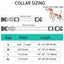 Cotton Personalized Dog Collar And Leash Set - iTalkPet