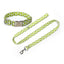 Cotton Personalized Dog Collar And Leash Set - iTalkPet