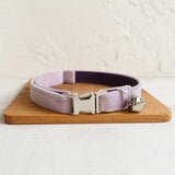 Custom Cat Collar with Bow Tie - iTalkPet