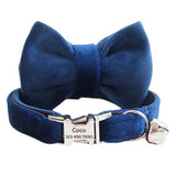Custom Cat Collar with Bow Tie - iTalkPet