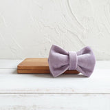 Custom Cat Collar with Bow Tie - iTalkPet