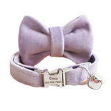 Custom Cat Collar with Bow Tie - iTalkPet