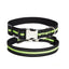 Custom Dog Collar - Engraved Adjustable Nylon Dog Collars - iTalkPet