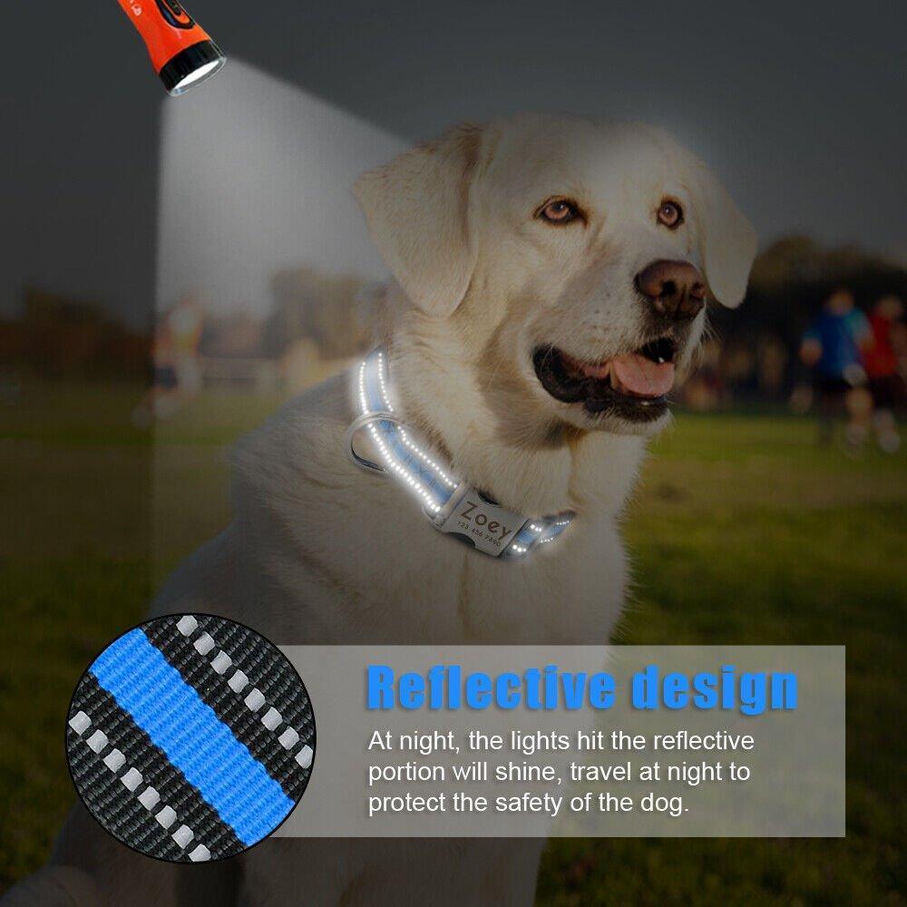 Custom Dog Collar - Engraved Adjustable Nylon Dog Collars - iTalkPet