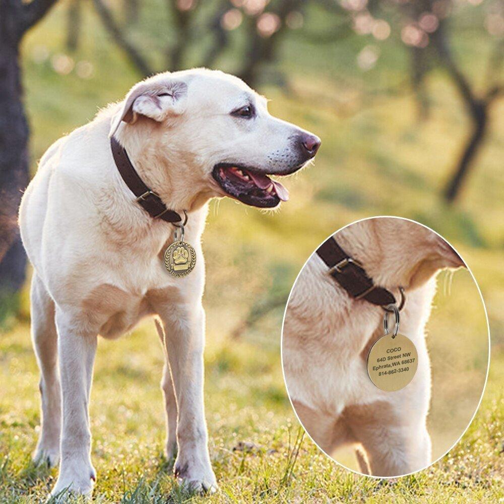 Customized Pet Dog ID Tag Free Engraving - iTalkPet