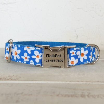 Daisy Blue Personalized Dog Collar Set - iTalkPet