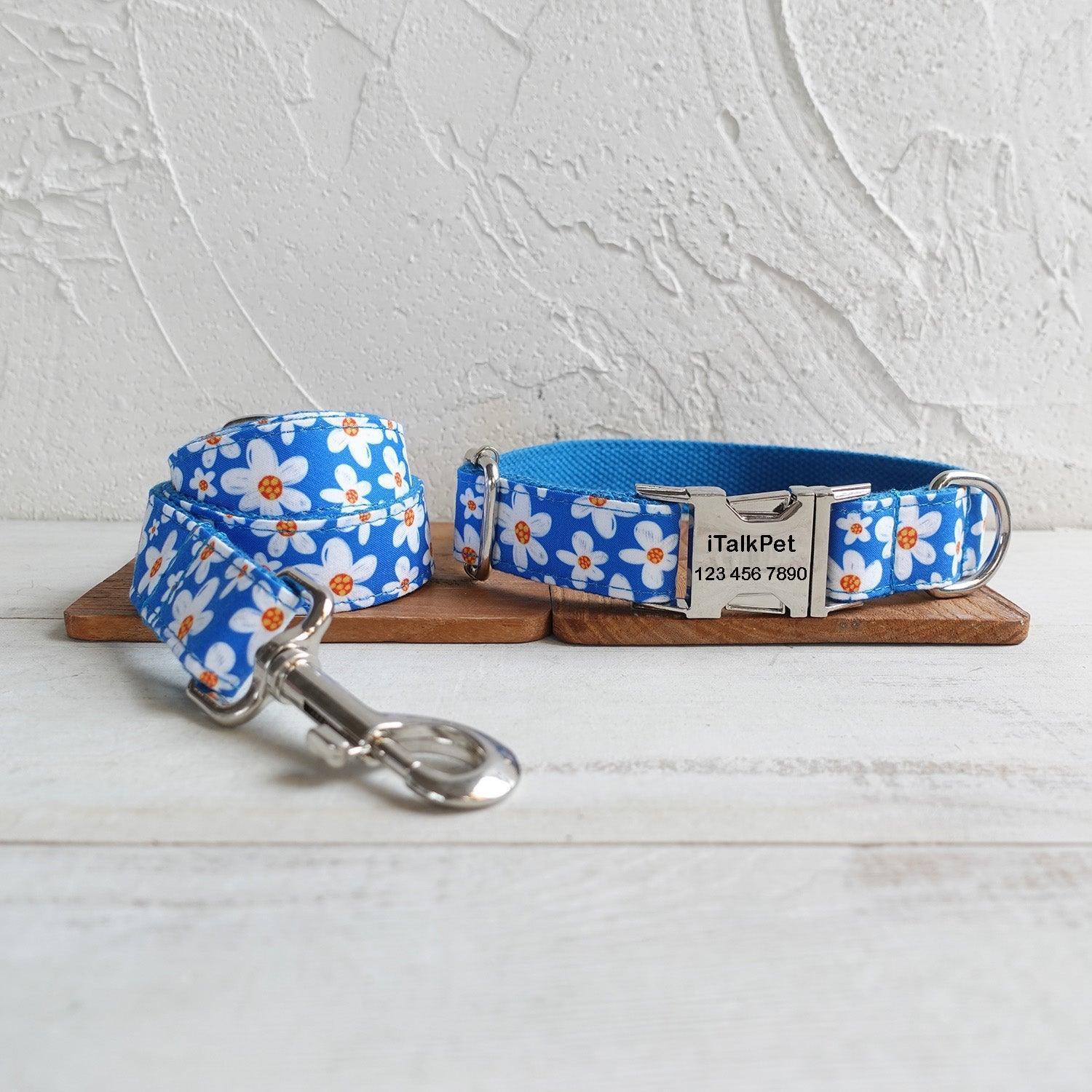 Daisy Blue Personalized Dog Collar Set - iTalkPet