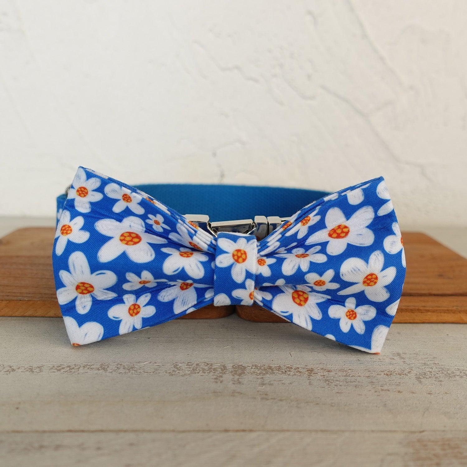 Daisy Blue Personalized Dog Collar Set - iTalkPet