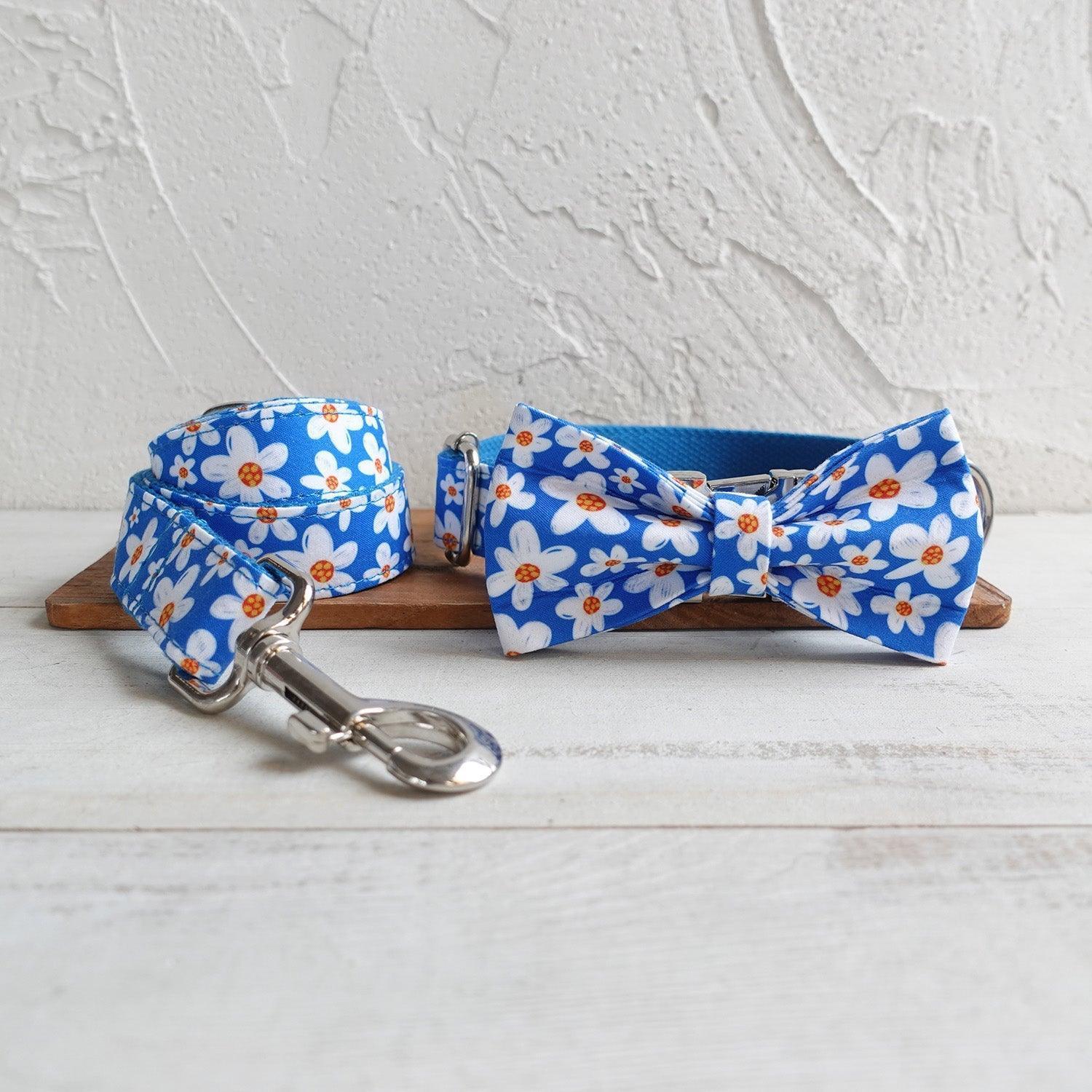 Daisy Blue Personalized Dog Collar Set - iTalkPet
