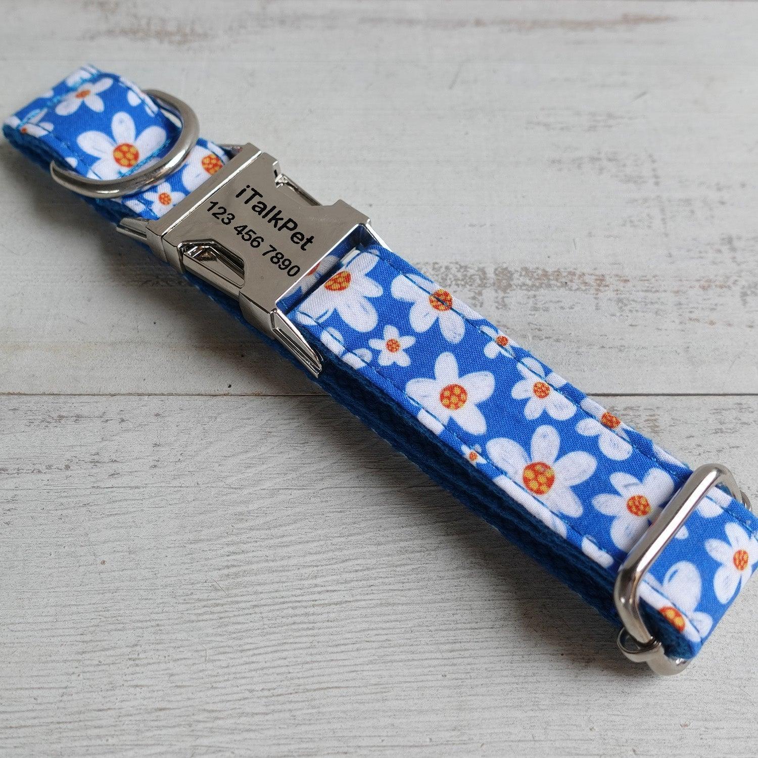 Daisy Blue Personalized Dog Collar Set - iTalkPet