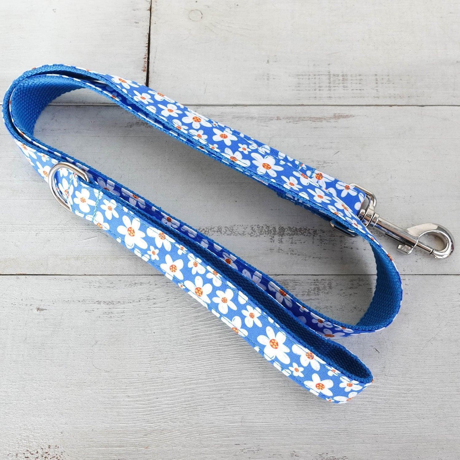 Daisy Blue Personalized Dog Collar Set - iTalkPet