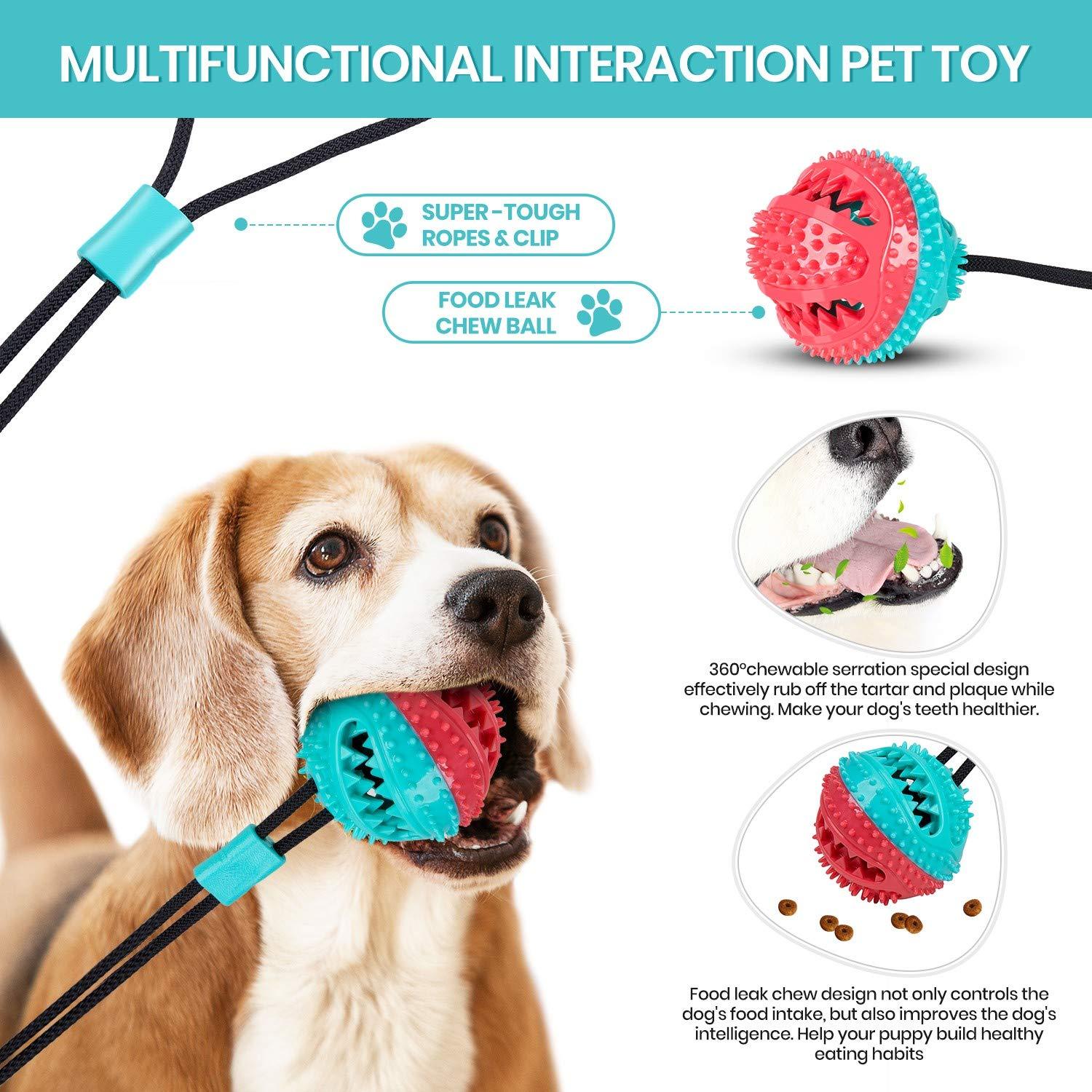 Dog Chew Suction Cup Tug of War Toy - iTalkPet