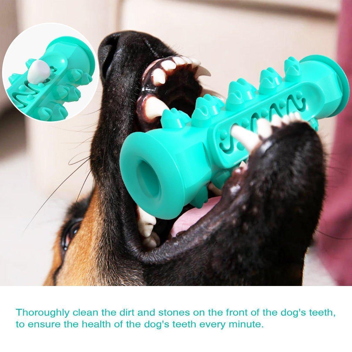 Dog Chew Toys for Aggressive Chewers Durable Dog Squeaky Toys with Brush - iTalkPet