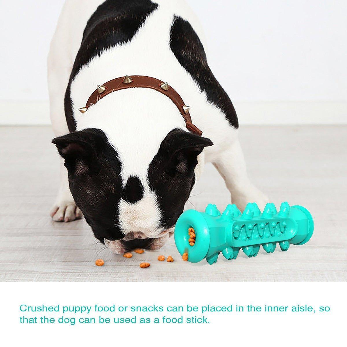 Dog Chew Toys for Aggressive Chewers Durable Dog Squeaky Toys with Brush - iTalkPet