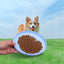 Dog Flyer - Pet Rubber Flying Disc Dog Frisbee Toy - iTalkPet