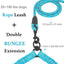 Dual Dog Leash 360 Swivel No Tangle Walking Double Dog Leash - iTalkPet