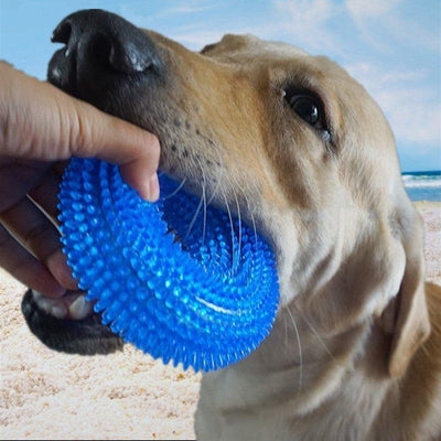 Durable Dog Squeaky Chew Toys Teething Ring Interactive Training Playing Pet Toy - iTalkPet