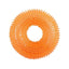 Durable Dog Squeaky Chew Toys Teething Ring Interactive Training Playing Pet Toy - iTalkPet