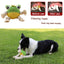 Durable Plush Dog Squeaky Chew Toys with Soft - iTalkPet