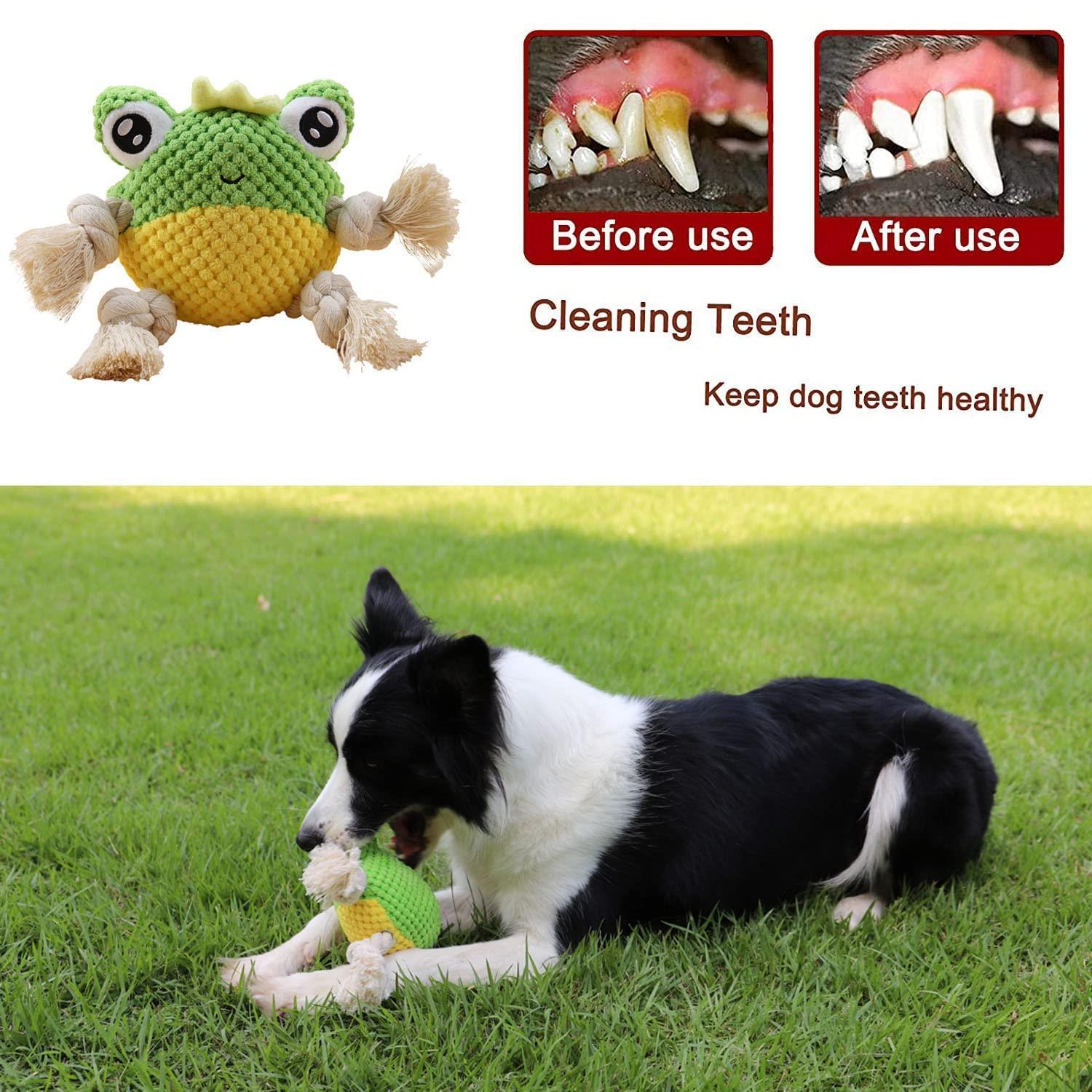 Durable Plush Dog Squeaky Chew Toys with Soft - iTalkPet