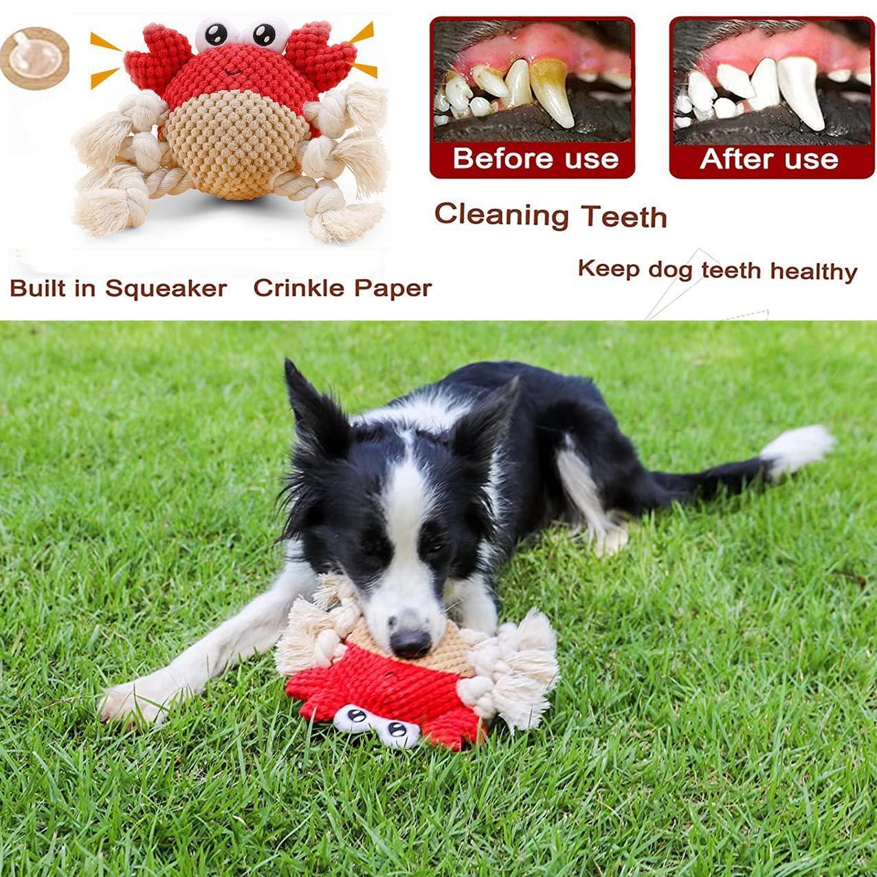 Durable Plush Dog Squeaky Chew Toys with Soft - iTalkPet