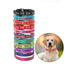 Personalized Dog Collar Reflective and Quick Release Buckle - iTalkPet