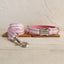 Enchanted Pink Personalized Dog Collar Set - iTalkPet