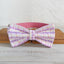Enchanted Pink Personalized Dog Collar Set - iTalkPet