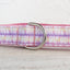 Enchanted Pink Personalized Dog Collar Set - iTalkPet