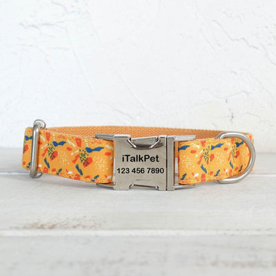 Fish Yellow Personalized Dog Collar Set - iTalkPet