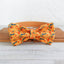 Fish Yellow Personalized Dog Collar Set - iTalkPet